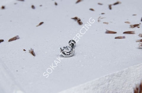 Tragus 214