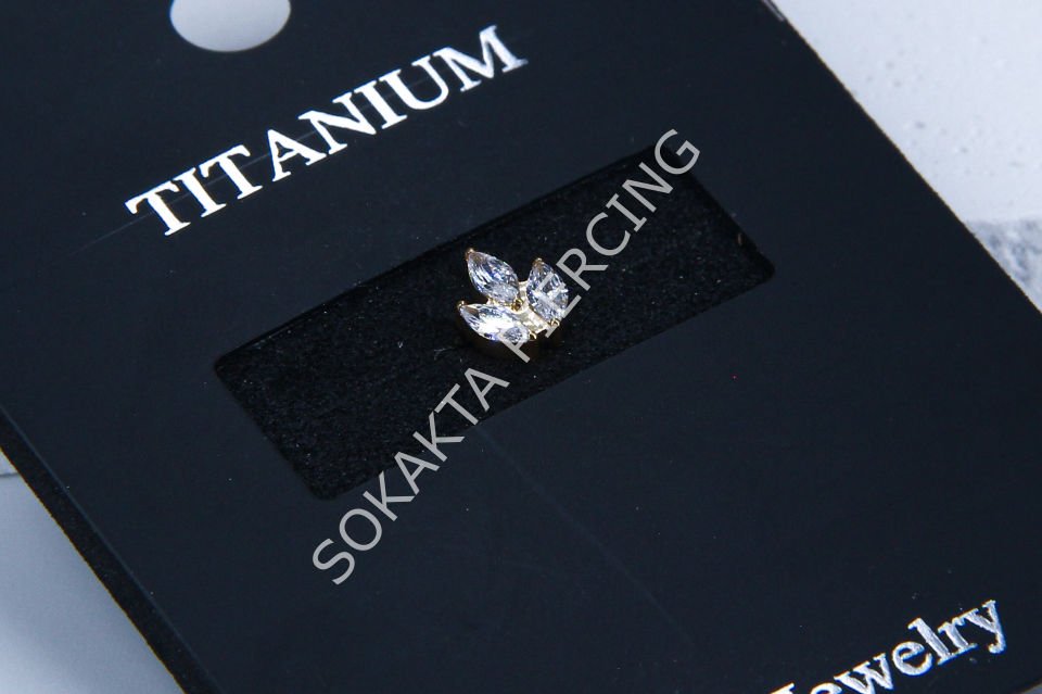 Z7 - TITANIUM TRAGUS