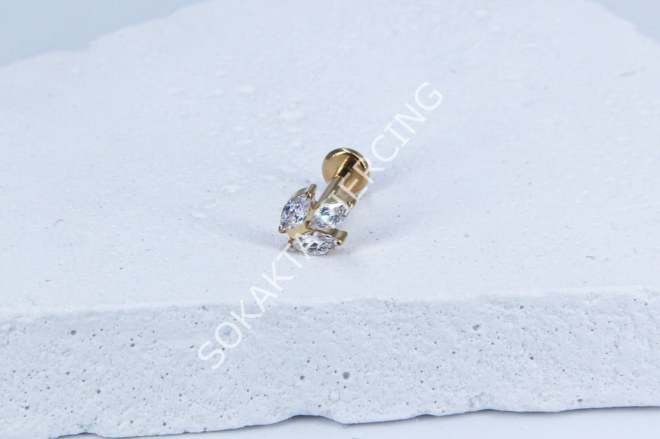 Z7 - TITANIUM TRAGUS