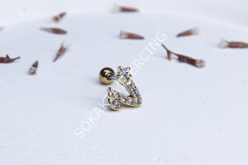 (V) HARF TRAGUS
