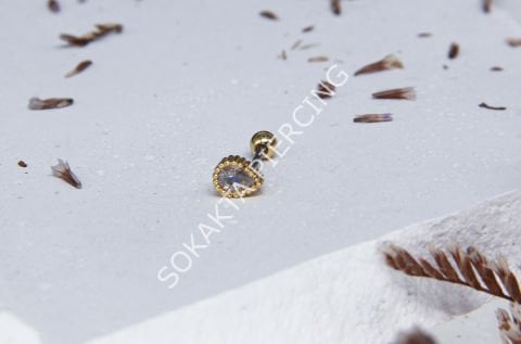 Tragus 217