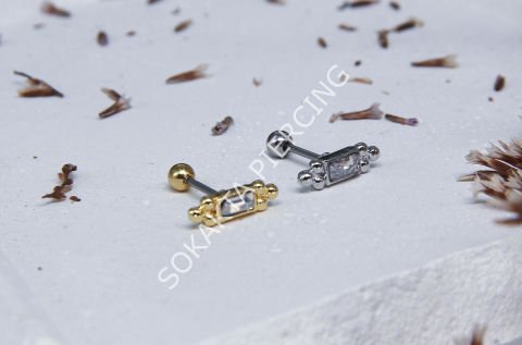 K17 - TRAGUS