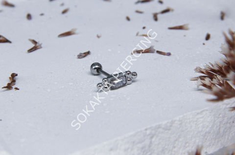 A31 - TRAGUS
