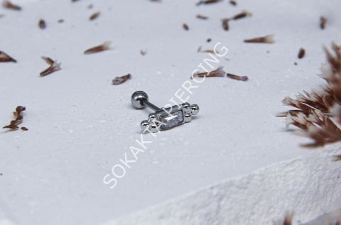 K17 - TRAGUS