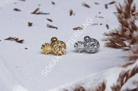 A30 - TRAGUS