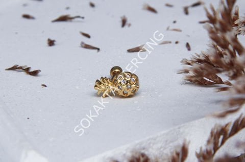 A30 - TRAGUS