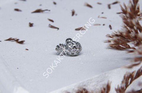 A30 - TRAGUS