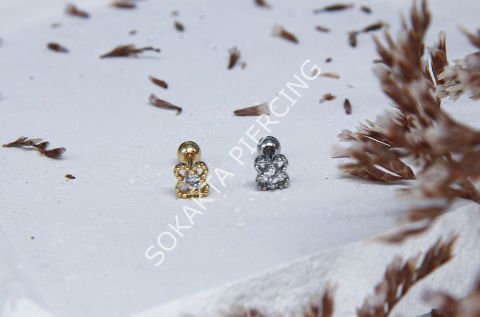 B62 - TRAGUS Silver