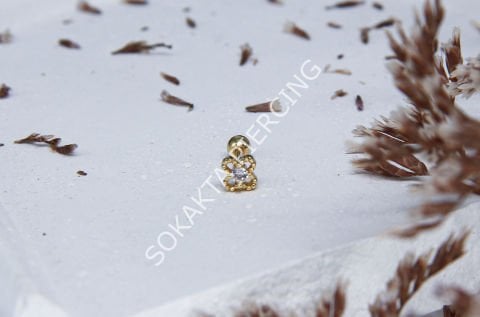 B62 - TRAGUS Silver