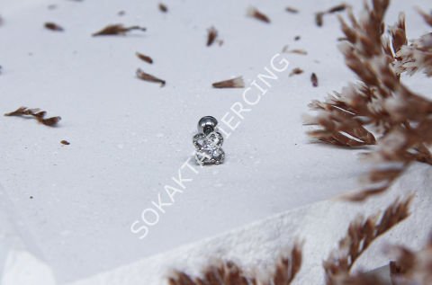 Tragus 228