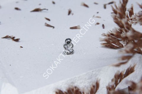 B62 - TRAGUS Silver