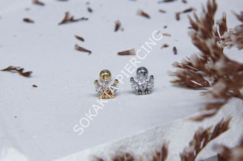 B25 - TRAGUS Silver
