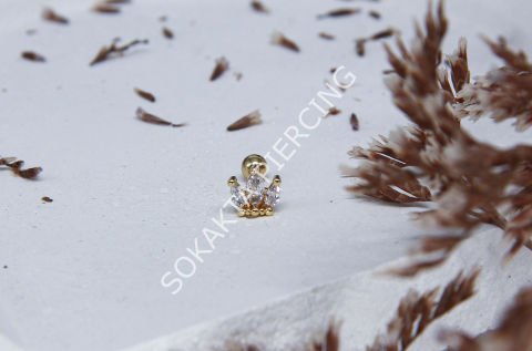 B25 - TRAGUS Silver