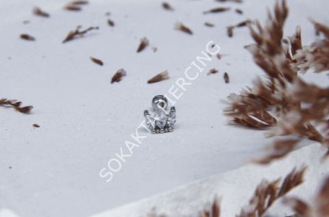 B25 - TRAGUS Silver