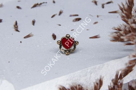 K5 - TRAGUS