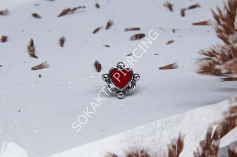 K5 - TRAGUS