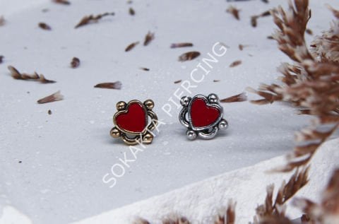 K5 - TRAGUS