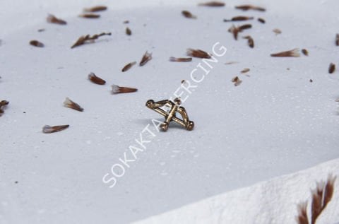 A35 - TRAGUS