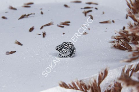 A1 - TRAGUS