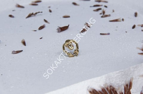 A21 - TRAGUS