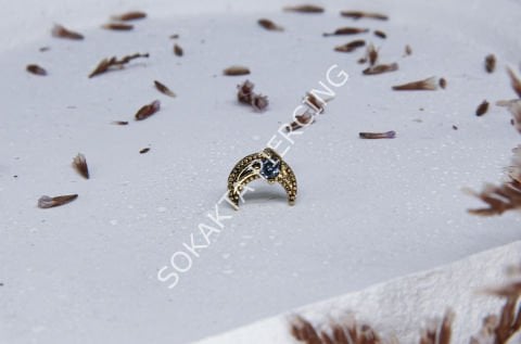 K9 - TRAGUS Silver