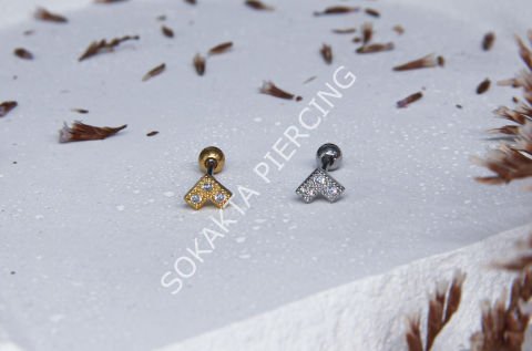 A65 - TRAGUS Gold