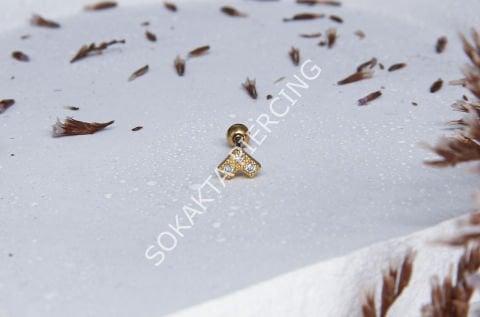 A65 - TRAGUS Gold