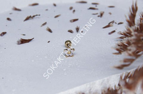 B59 - TRAGUS Silver