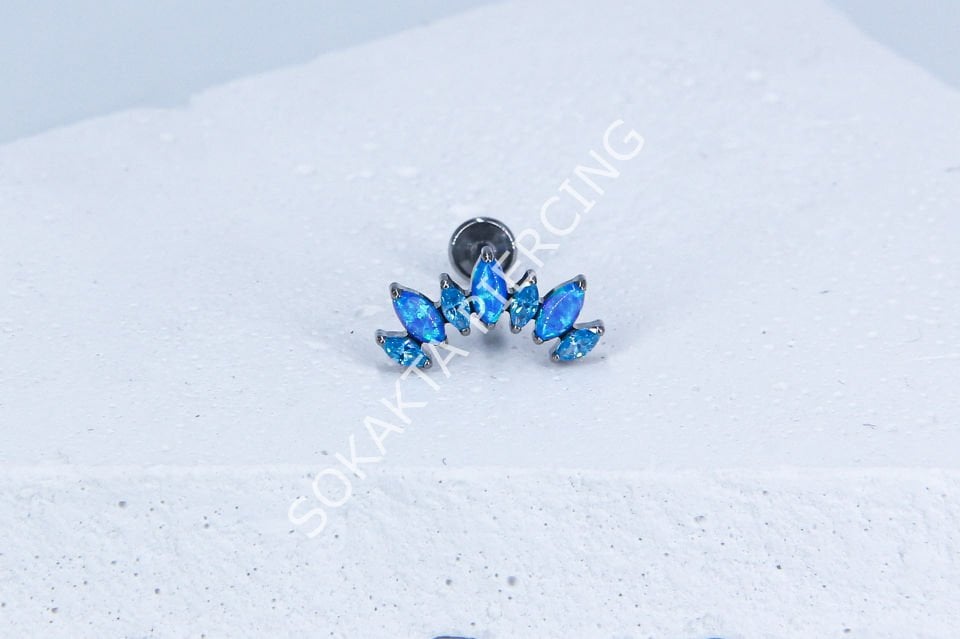 M43 - TITANIUM TRAGUS