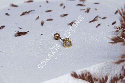 B49 - TRAGUS Gold