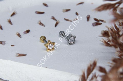 Z15 - TRAGUS