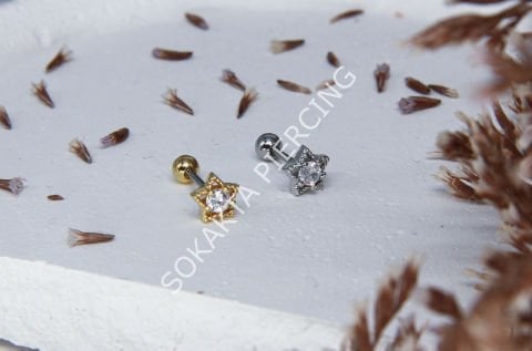 A78 - TRAGUS Silver