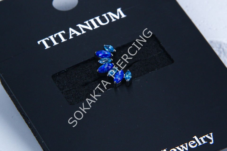 Z46 - TITANIUM TRAGUS