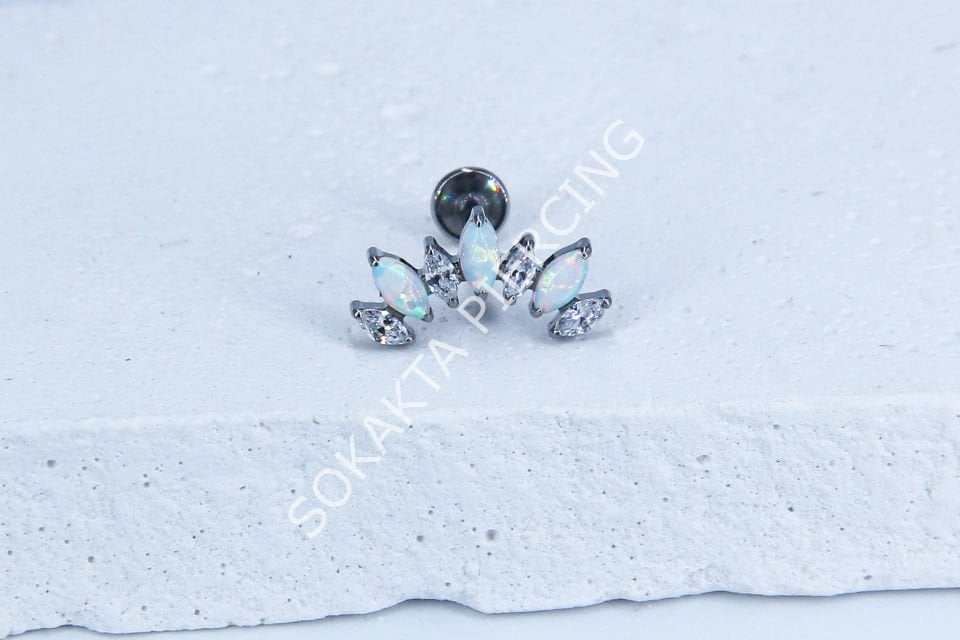 Z44 - TITANIUM TRAGUS