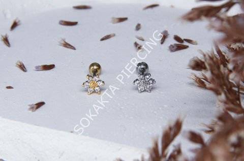 A13 - TRAGUS Silver