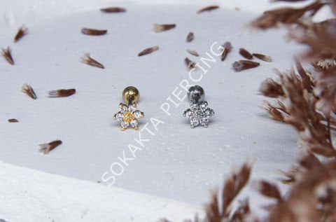 A13 - TRAGUS Silver