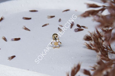 A13 - TRAGUS Silver
