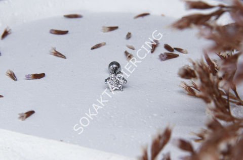 A13 - TRAGUS Silver