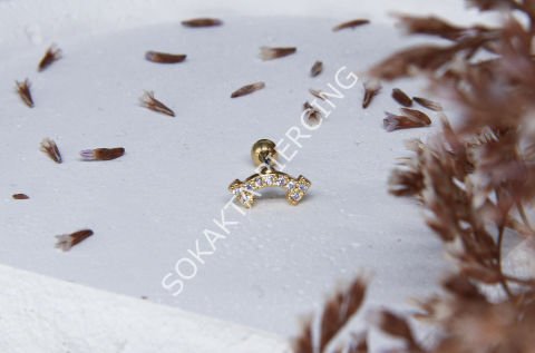 A42 - TRAGUS Silver