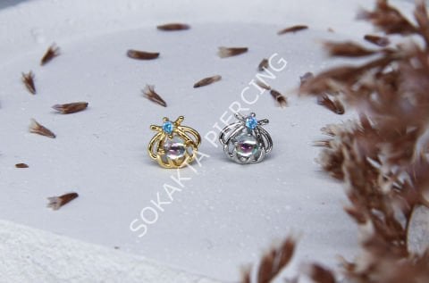 A3 - TRAGUS