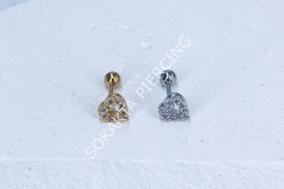 B10- TRAGUS