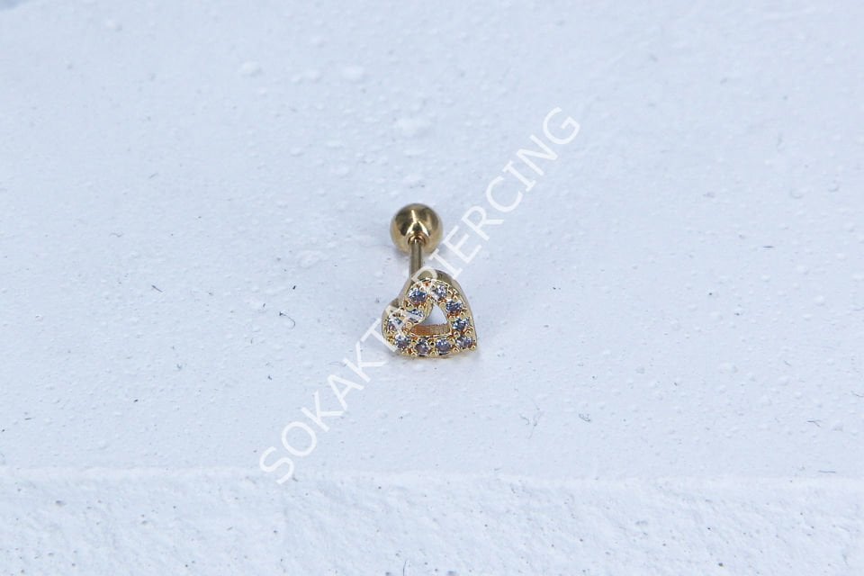B10- TRAGUS