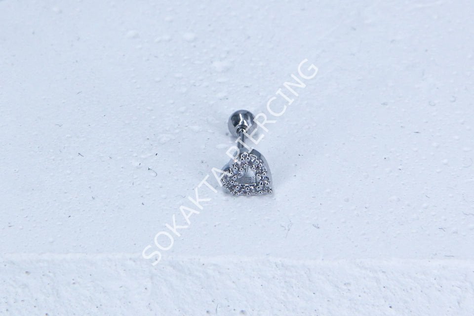 B10- TRAGUS