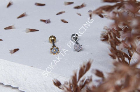 B1 - TRAGUS Silver
