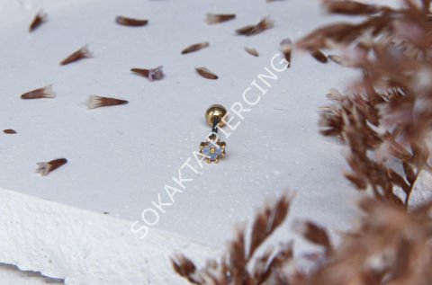 B1 - TRAGUS Silver