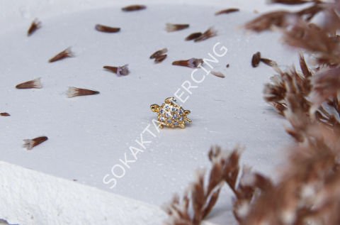 A37 - TRAGUS Silver