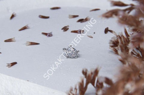 A37 - TRAGUS Silver