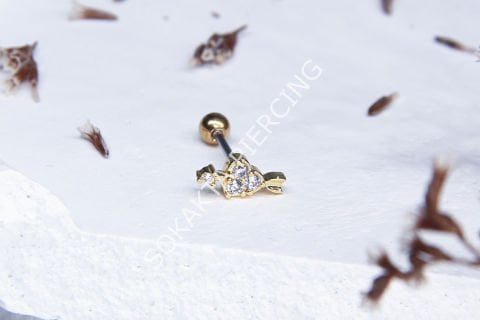 B80 - TRAGUS