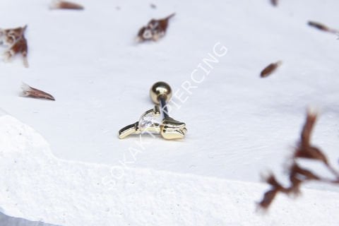 A41 - TRAGUS