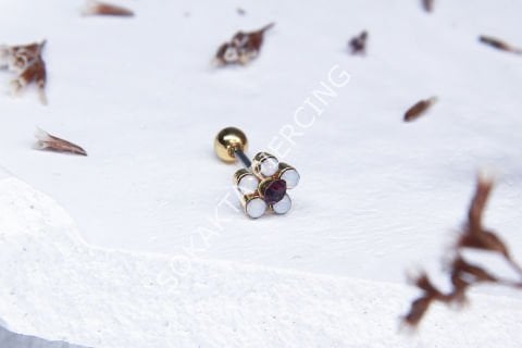 X43 - TRAGUS